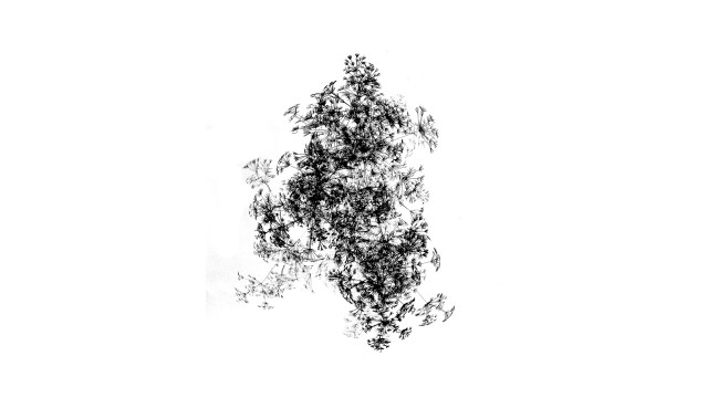 Algorithm5Study